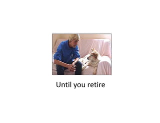 Until you retire
Until you retire
 