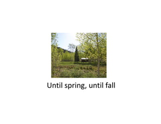 Until spring, until fall
Until spring until fall
 