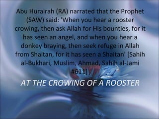 AT THE CROWING OF A ROOSTER Abu Hurairah (RA) narrated that the Prophet (SAW) said: 'When you hear a rooster crowing, then ask Allah for His bounties, for it has seen an angel, and when you hear a donkey braying, then seek refuge in Allah from Shaitan, for it has seen a Shaitan' [Sahih al-Bukhari, Muslim, Ahmad, Sahih al-Jami #611]  