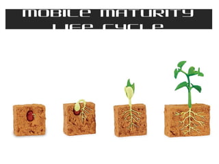 Mobile Maturity
Life Cycle

 