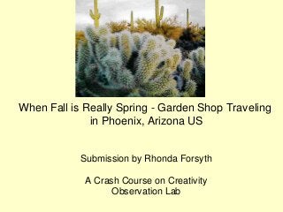 When Fall is Really Spring - Garden Shop Traveling
              in Phoenix, Arizona US


            Submission by Rhonda Forsyth

             A Crash Course on Creativity
                   Observation Lab
 