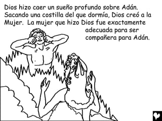 Dios hizo caer un sueño profundo sobre Adán.
Sacando una costilla del que dormía, Dios creó a la
Mujer. La mujer que hizo Dios fue exactamente
                            adecuada para ser
                            compañera para Adán.
 