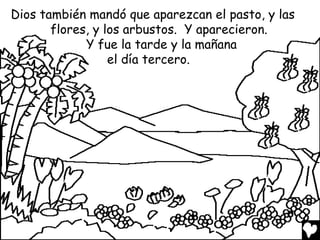 Dios también mandó que aparezcan el pasto, y las
       flores, y los arbustos. Y aparecieron.
             Y fue la tarde y la mañana
                  el día tercero.
 
