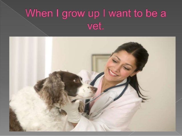 a vet