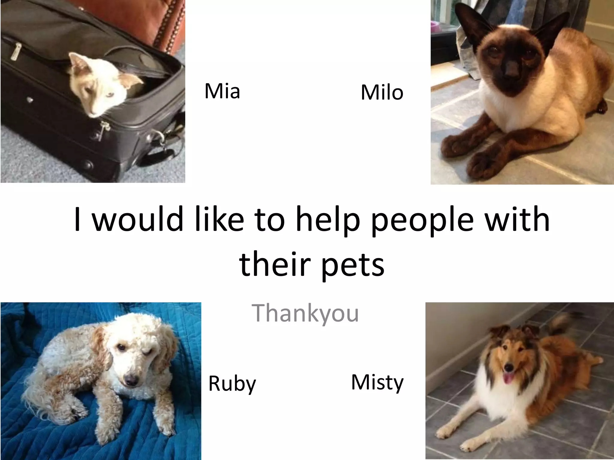 Mia
Milo
I would like to help people with
their pets
Thankyou
Ruby
Misty