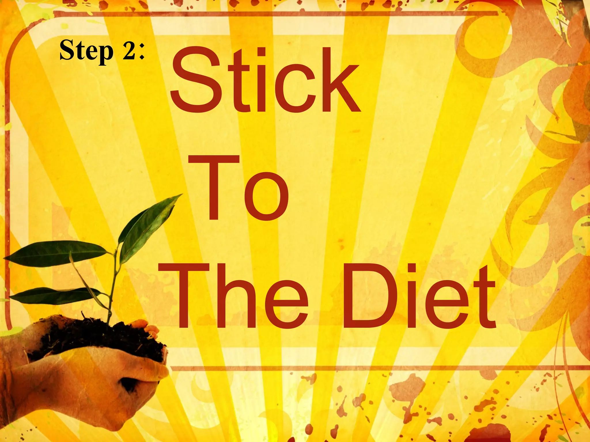 Step 2: Stick To The Diet