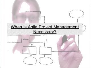 When Is Agile Project Management
Necessary?

 