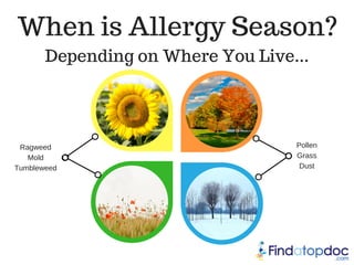 When is Allergy Season?
Ragweed
Mold
Tumbleweed
Pollen
Grass
Dust
Depending on Where You Live...
 