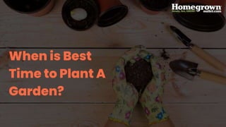When is Best
Time to Plant A
Garden?
 