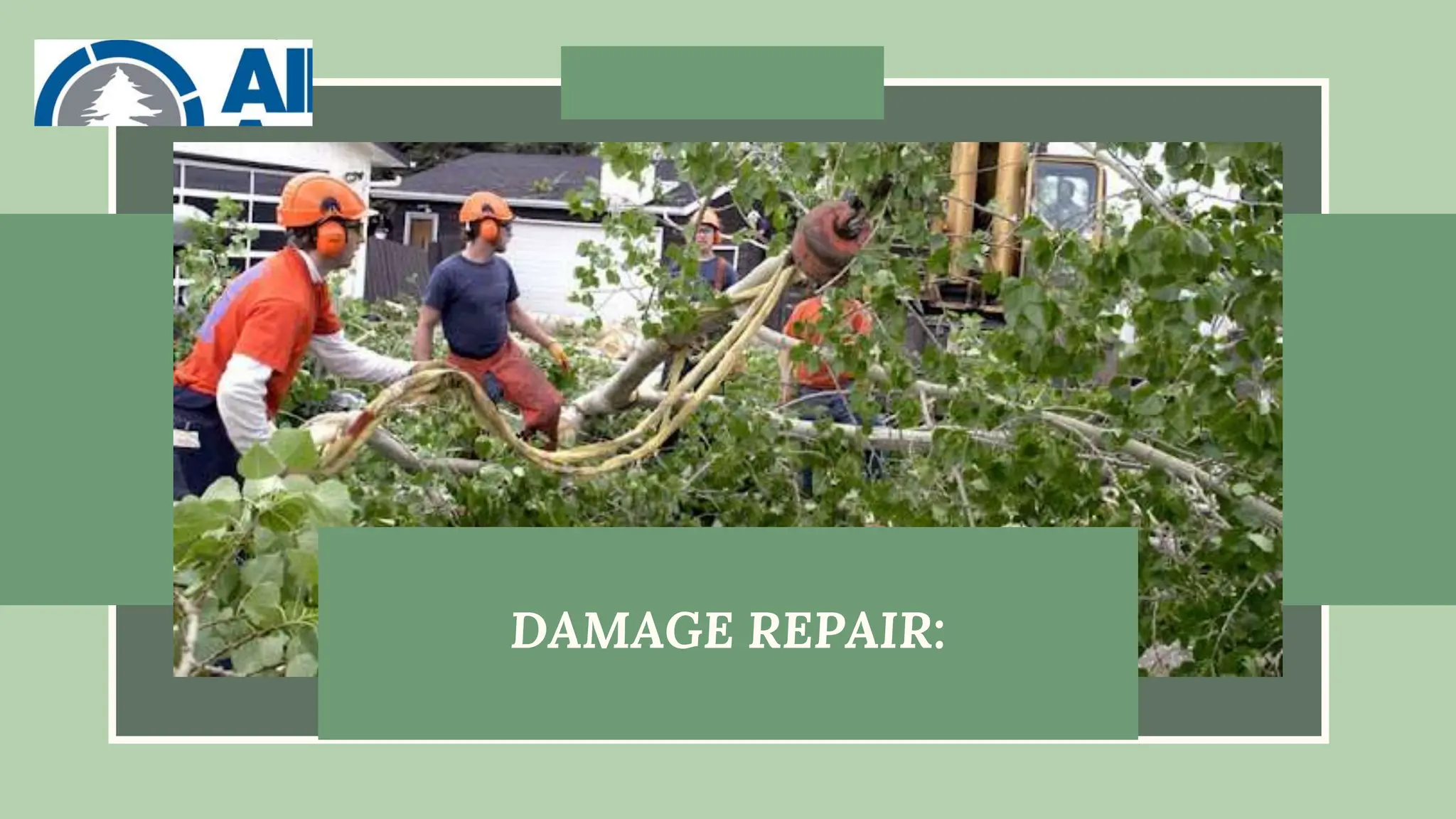 DAMAGE REPAIR:
 
