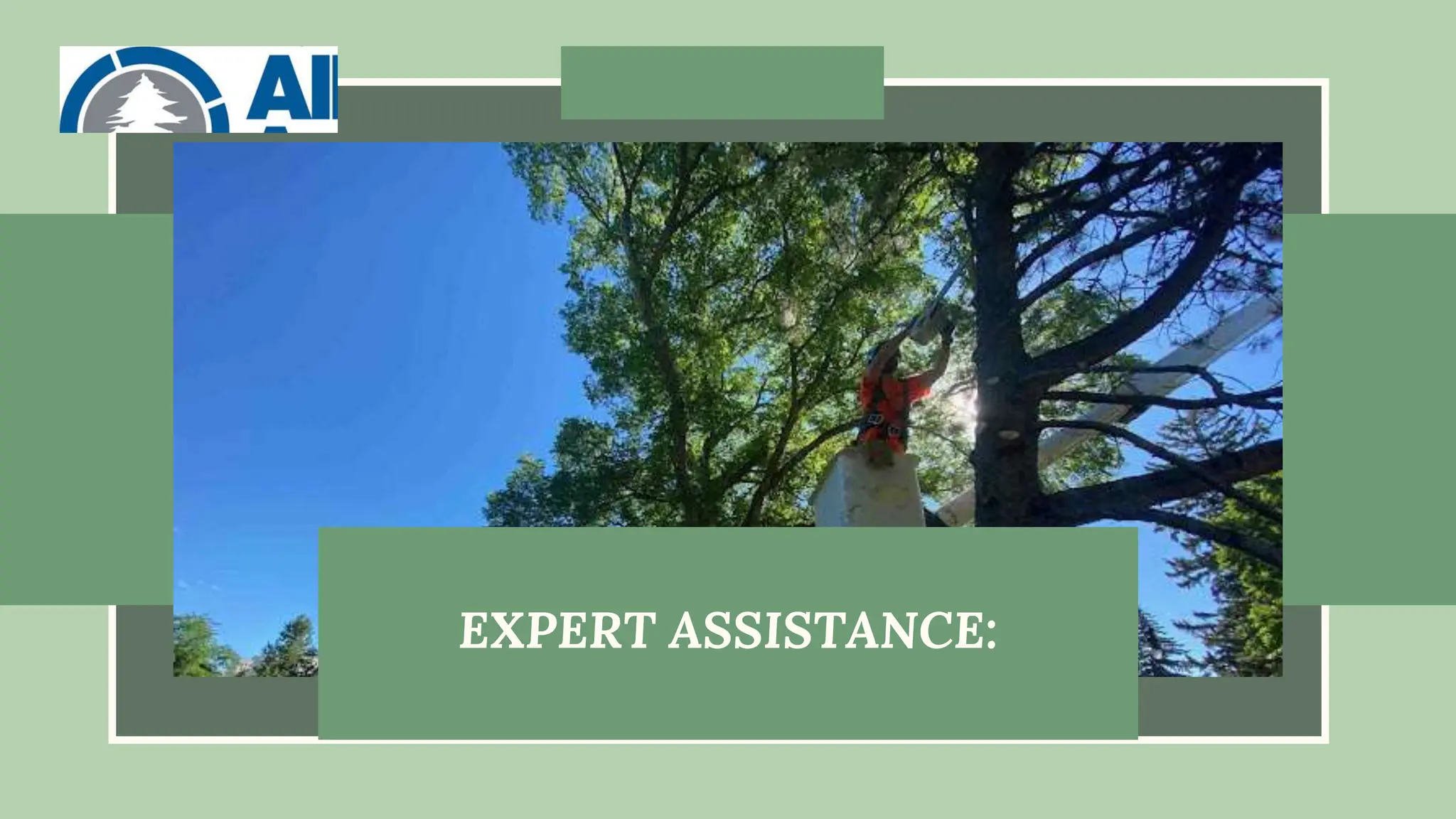 EXPERT ASSISTANCE:
 
