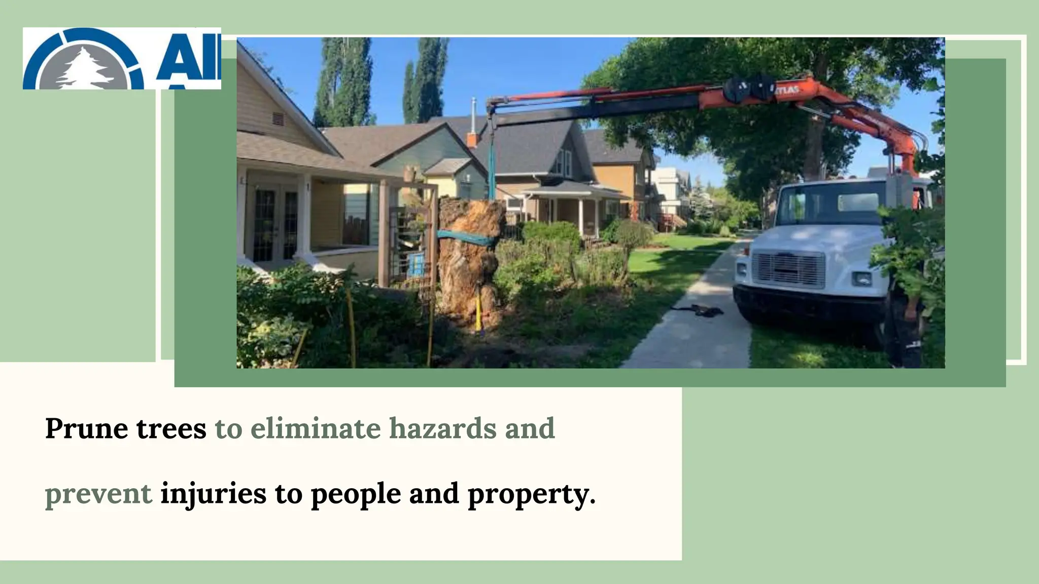 Prune trees to eliminate hazards and
prevent injuries to people and property.
 