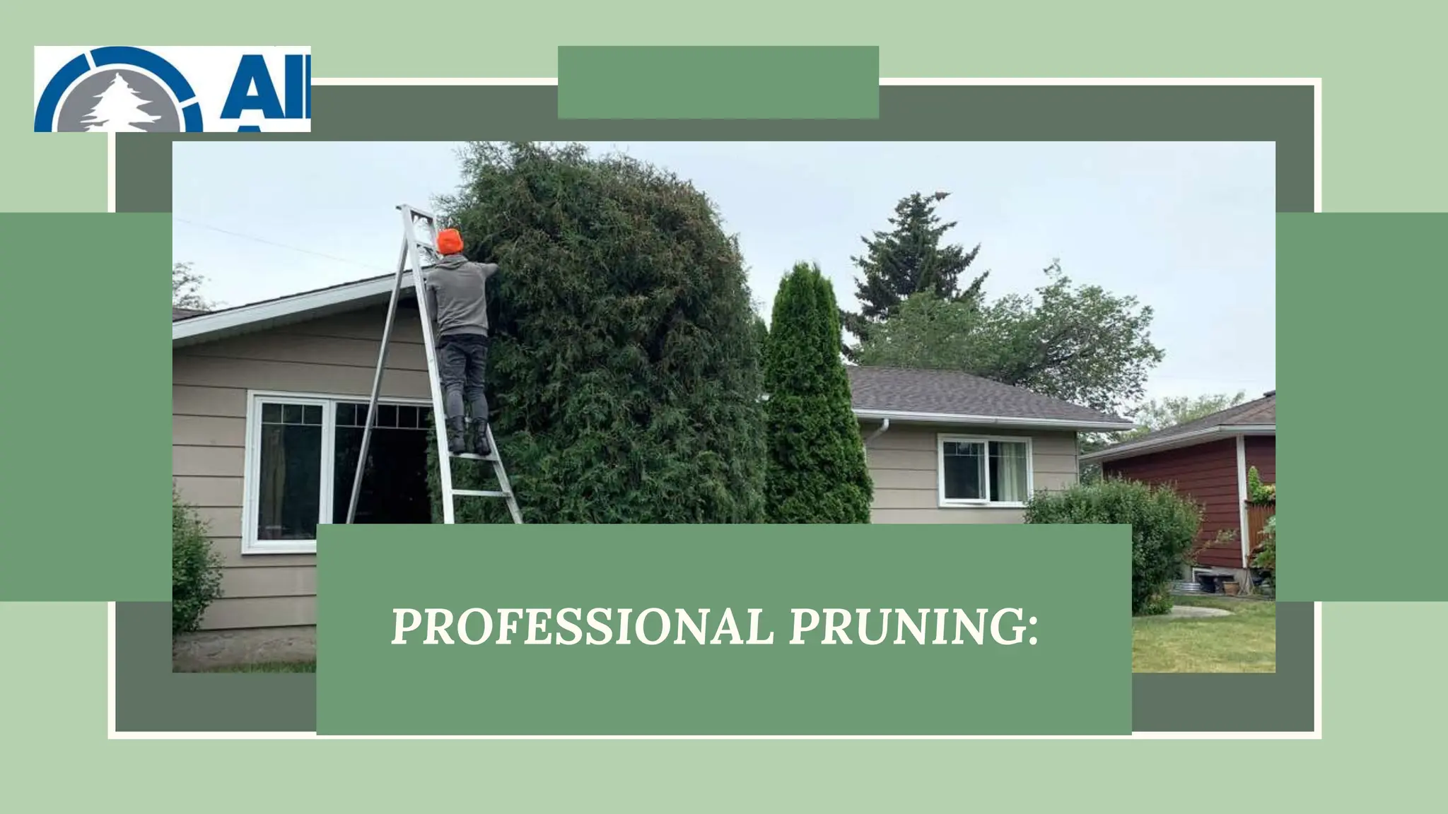 PROFESSIONAL PRUNING:
 