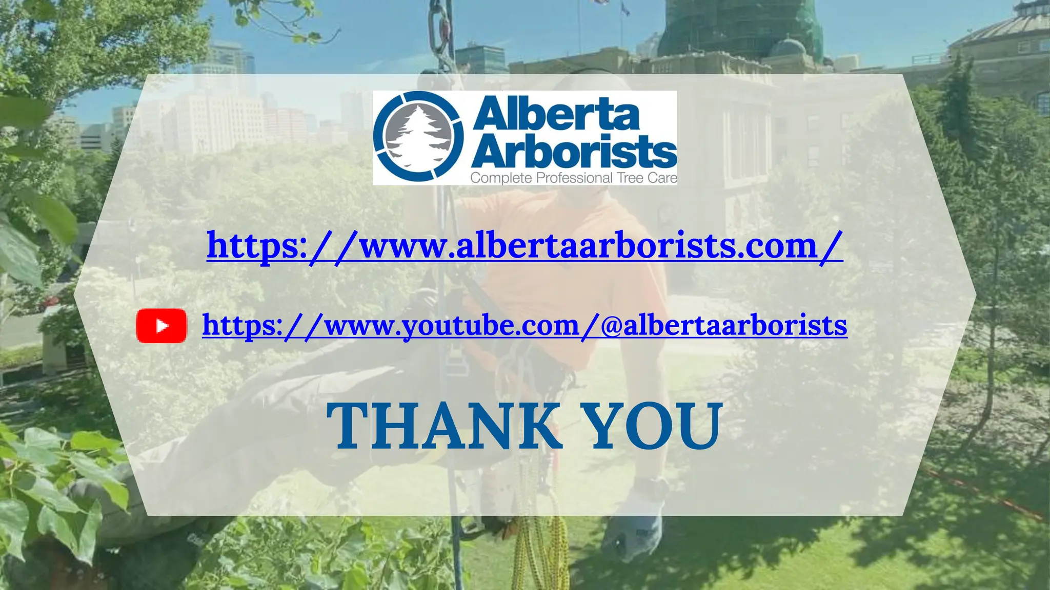 https://www.albertaarborists.com/
https://www.youtube.com/@albertaarborists
THANK YOU
 