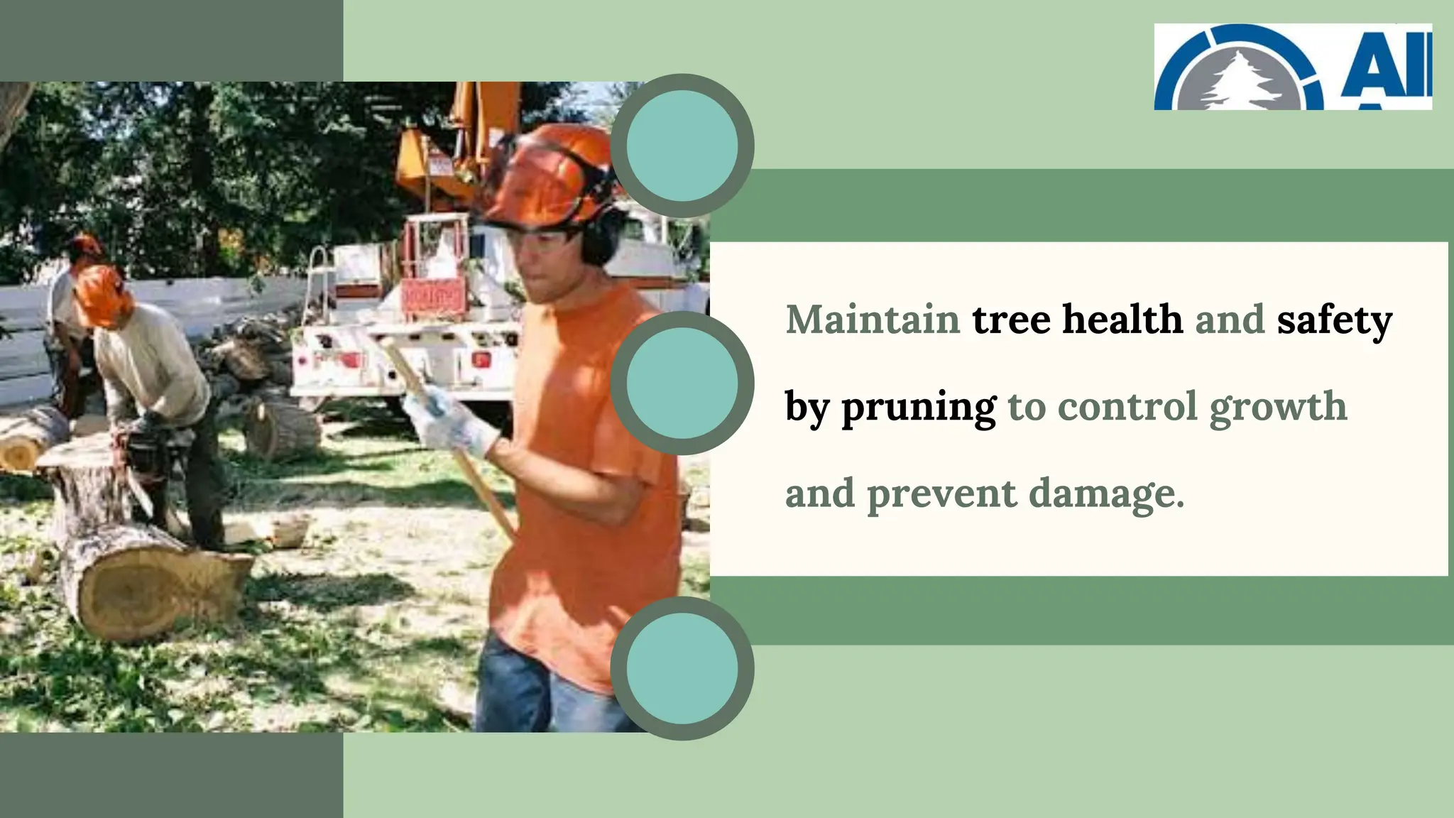 Maintain tree health and safety
by pruning to control growth
and prevent damage.
 