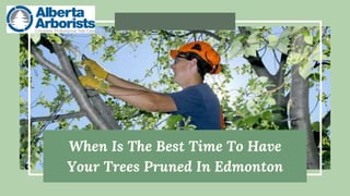 When Is The Best Time To Have
Your Trees Pruned In Edmonton
 