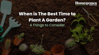 When is The Best Time to
Plant A Garden?
4 Things to Consider
 