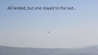 All landed, but one stayed to the last…
 