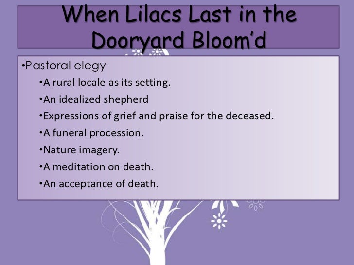 When lilacs last in dooryard