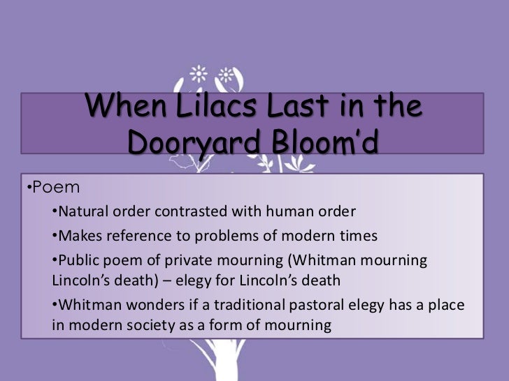 when lilacs las in the dooryard When lilacs last in the dooryard bloom'd analysis essayslincoln's assassination in the spring of 1865 had a violent impact on the lives of the nations people, and was a deep and personal tragedy for american poet walt whitman. when lilacs las in the dooryard When lilacs last in the dooryard bloom'd analysis essayslincoln's assassination in the spring of 1865 had a violent impact on the lives of the nations people, and was a deep and personal tragedy for american poet walt whitman.