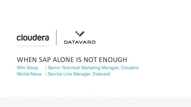 When Sap Alone Is Not Enough