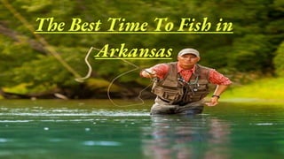 The Best Time To Fish in
Arkansas
 