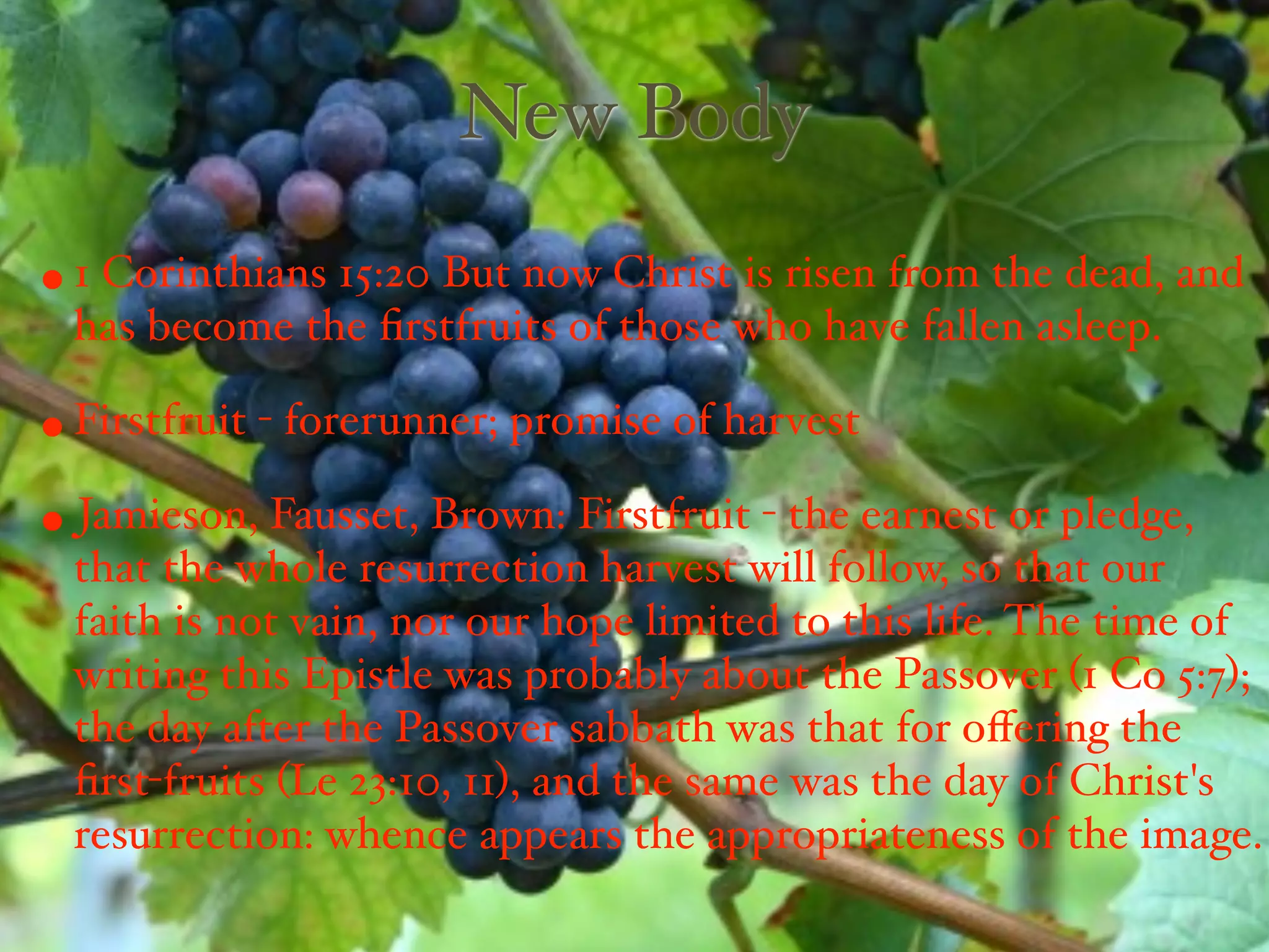 New Body
• 1 Corinthians 15:20 But now Christ is risen from the dead, and
  has become the ﬁrstfruits of those who have fallen asleep.

• Firstfruit - forerunner; promise of harvest
• Jamieson, Fausset, Brown: Firstfruit - the earnest or pledge,
  that the whole resurrection harvest will follow, so that our
  faith is not vain, nor our hope limited to this life. The time of
  writing this Epistle was probably about the Passover (1 Co 5:7);
  the day after the Passover sabbath was that for oﬀering the
  ﬁrst-fruits (Le 23:10, 11), and the same was the day of Christ's
  resurrection: whence appears the appropriateness of the image.
 