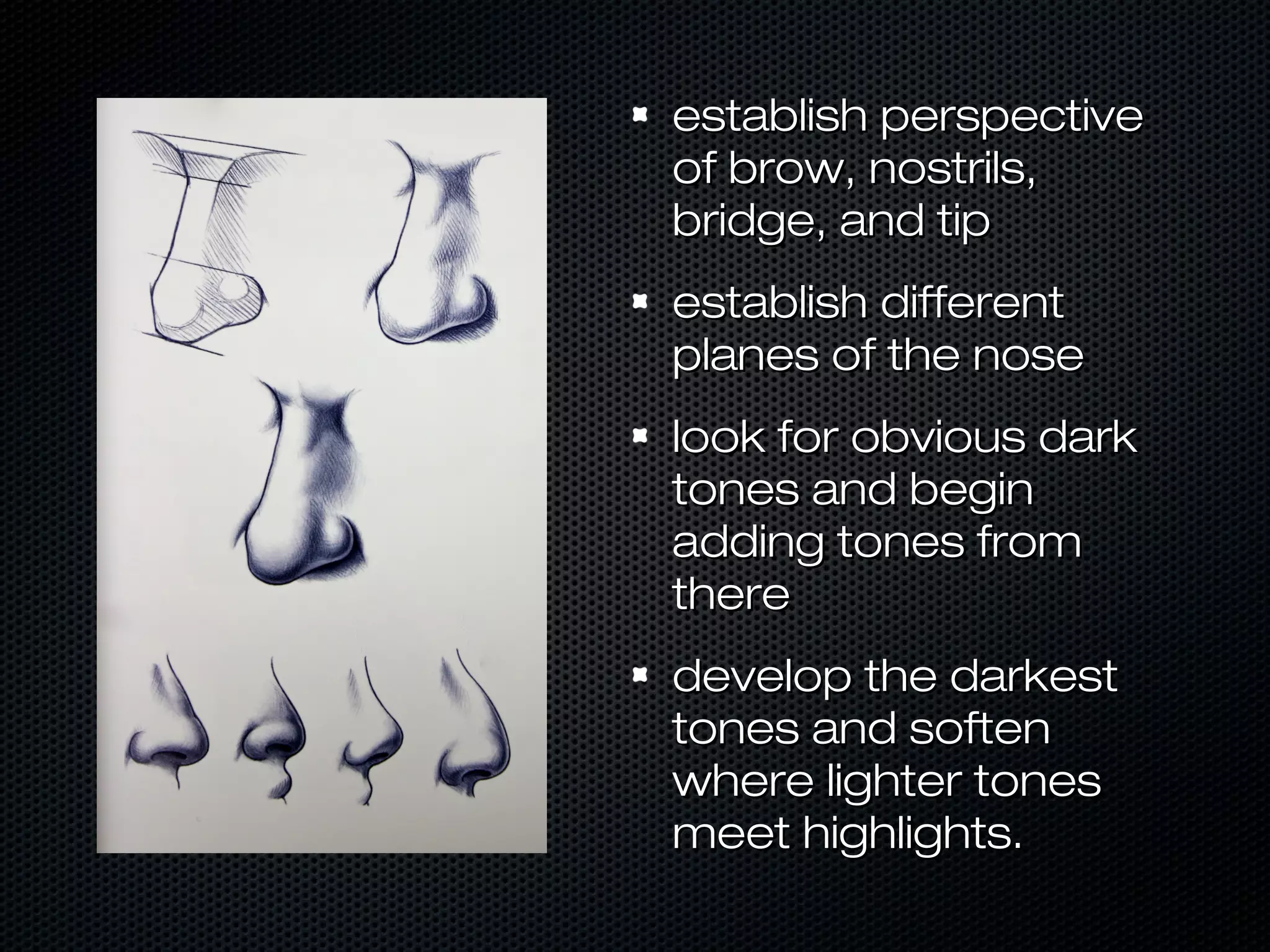 establish perspective
of brow, nostrils,
bridge, and tip
establish different
planes of the nose
look for obvious dark
tones and begin
adding tones from
there
develop the darkest
tones and soften
where lighter tones
meet highlights.

 
