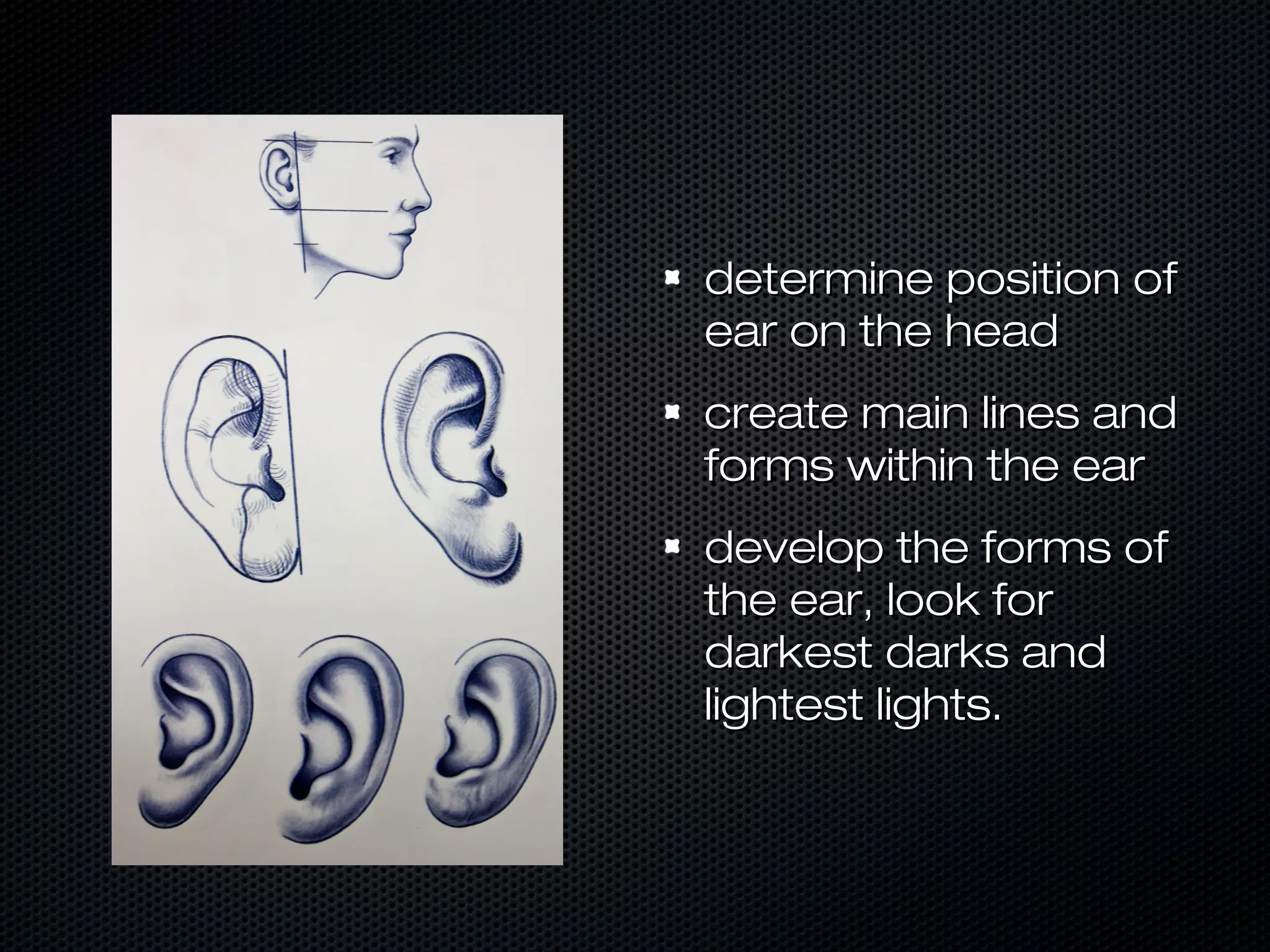 determine position of
ear on the head
create main lines and
forms within the ear
develop the forms of
the ear, look for
darkest darks and
lightest lights.

 