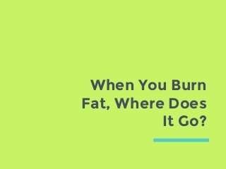 When You Burn
Fat, Where Does
It Go?
 