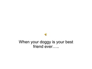 When your doggy ....