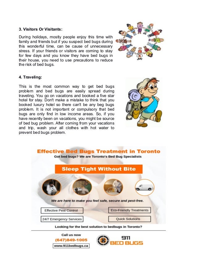 Where Do Bed Bugs Come From?