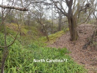 North Carolina??
 