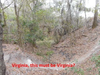 Virginia, this must be Virginia?
 