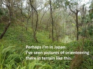 Perhaps I’m in Japan.
I’ve seen pictures of orienteering
there in terrain like this.
 