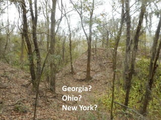 Georgia?
Ohio?
New York?
 