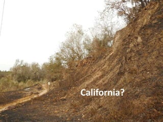 California?
 