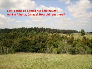 First, I came up a small rise and thought:
Am I in Alberta, Canada? How did I get there?
 