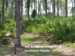 Yes, definitely a little bit of
Southwest Florida
 