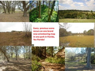 Every previous scene
occurs on one brand
new orienteering map
in one park in Florida,
Yes Florida!
 