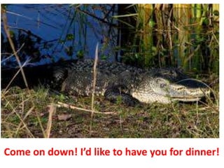 Come on down! I’d like to have you for dinner!
 