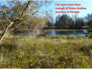 I’ve seen more than
enough of these shallow
marshes in Finland
 
