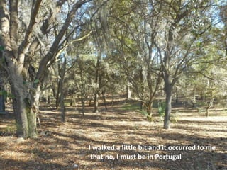I walked a little bit and it occurred to me
that no, I must be in Portugal
 
