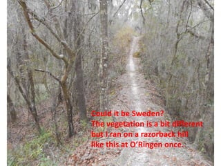 Could it be Sweden?
The vegetation is a bit different
but I ran on a razorback hill
like this at O’Ringen once.
 