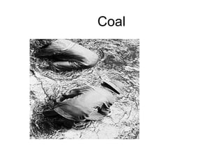Coal 