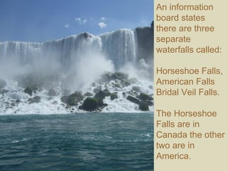 An information board states there are three separate waterfalls called: Horseshoe Falls,  American Falls  Bridal Veil Falls.  The Horseshoe Falls are in Canada the other two are in America. 