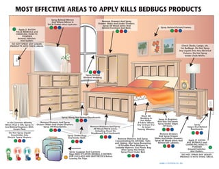 Where to-apply-bedbug-killer