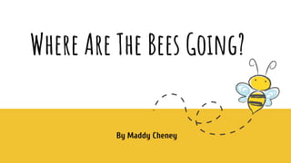 Where Are The Bees Going?
By Maddy Cheney
 