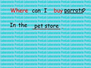 Where can I buy _____?parrots
In the ________ .pet store
 