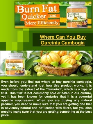 Where Can You Buy 
Garcinia Cambogia 
Even before you find out where to buy garcinia cambogia, 
you should understand just how this product works. It is 
made from the extract of the “tamarind”, which is a type of 
fruit. This fruit is not commonly sold or eaten in our culture, 
yet it has been known for centuries that it is a powerful 
appetite suppressant. When you are buying any natural 
product, you need to make sure that you are getting one that 
is obviously natural and not loaded with fillers, but you also 
need to make sure that you are getting something at the best 
price. 
 
